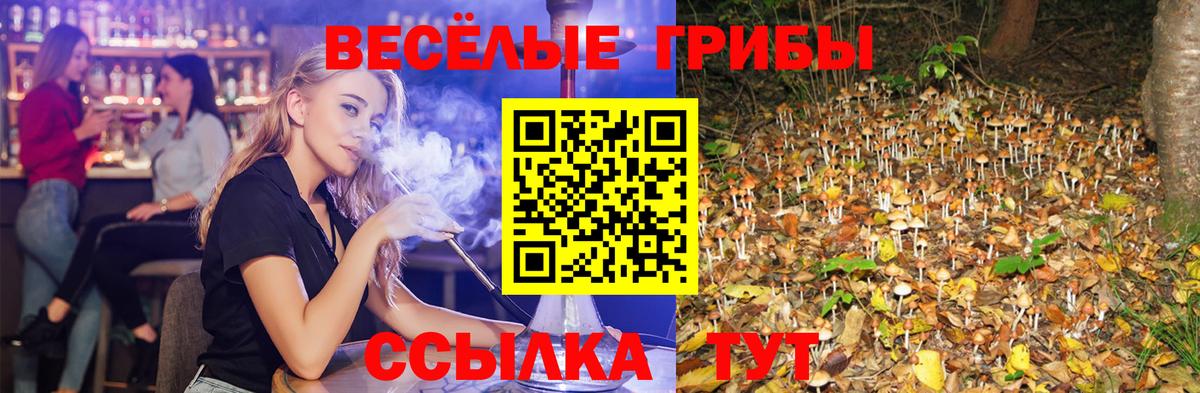Галлюциногенные грибы MAGIC MUSHROOMS Ростов Великий